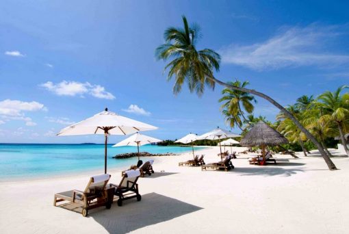 Tour Nha Trang 4 ngày 3 đêm - Hình ảnh 3