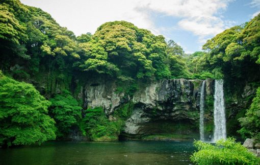 Tour du lịch Hàn Quốc 6N5Đ - Hình ảnh 6